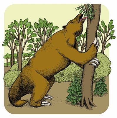 Rajcak_Laverdunt_Ausgestorbene_Tiere_illu Rajcak_Laverdunt_Ausgestorbene_Tiere_illu